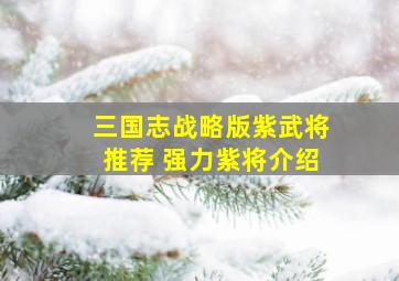 三国志战略版紫武将推荐 强力紫将介绍